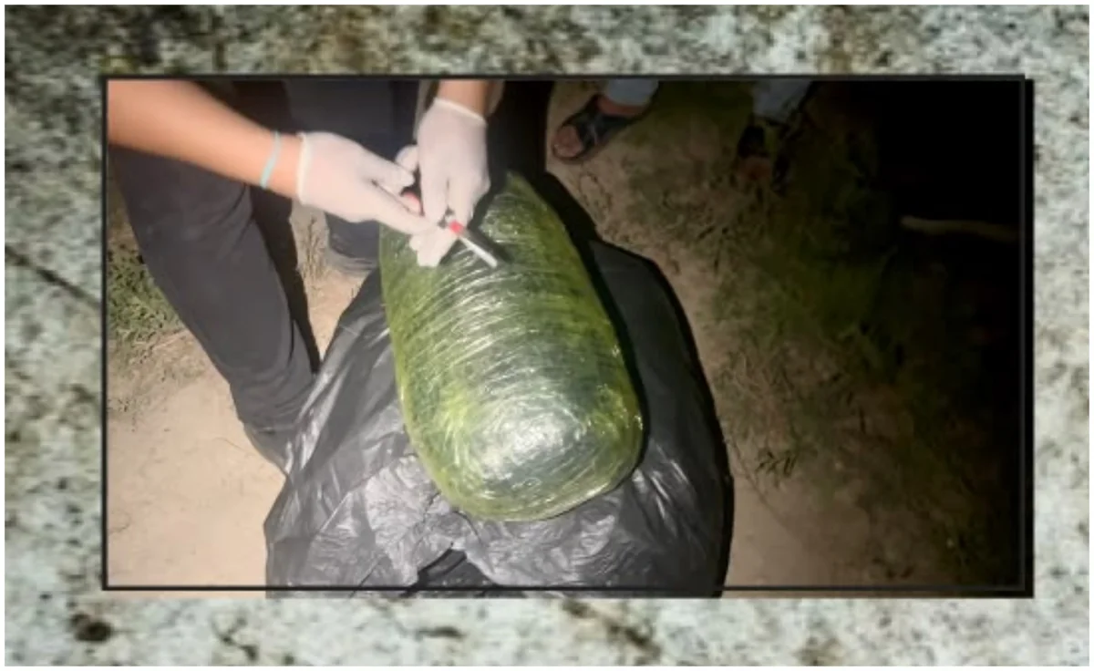 Sabirabadda 8 kiloqram narkotik vasitə aşkarlanıb