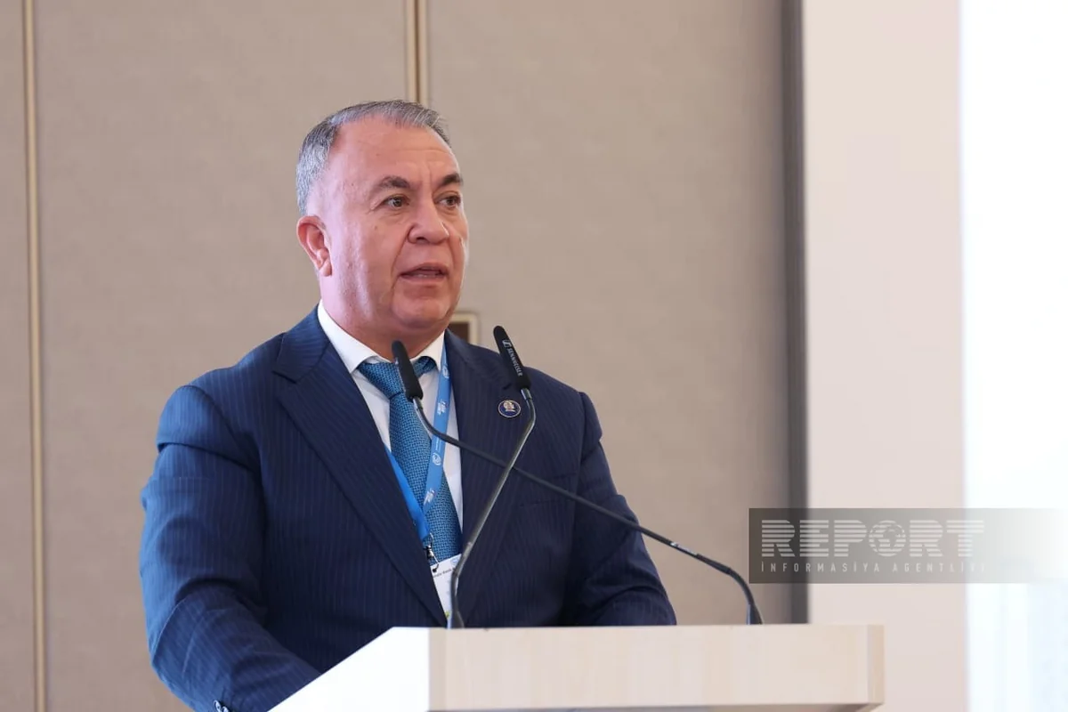 Sadiq Qurbanov: "İqlim dəyişmələrinin əsas hərəkətverici qüvvələrindən biri insan fəaliyyətidir"