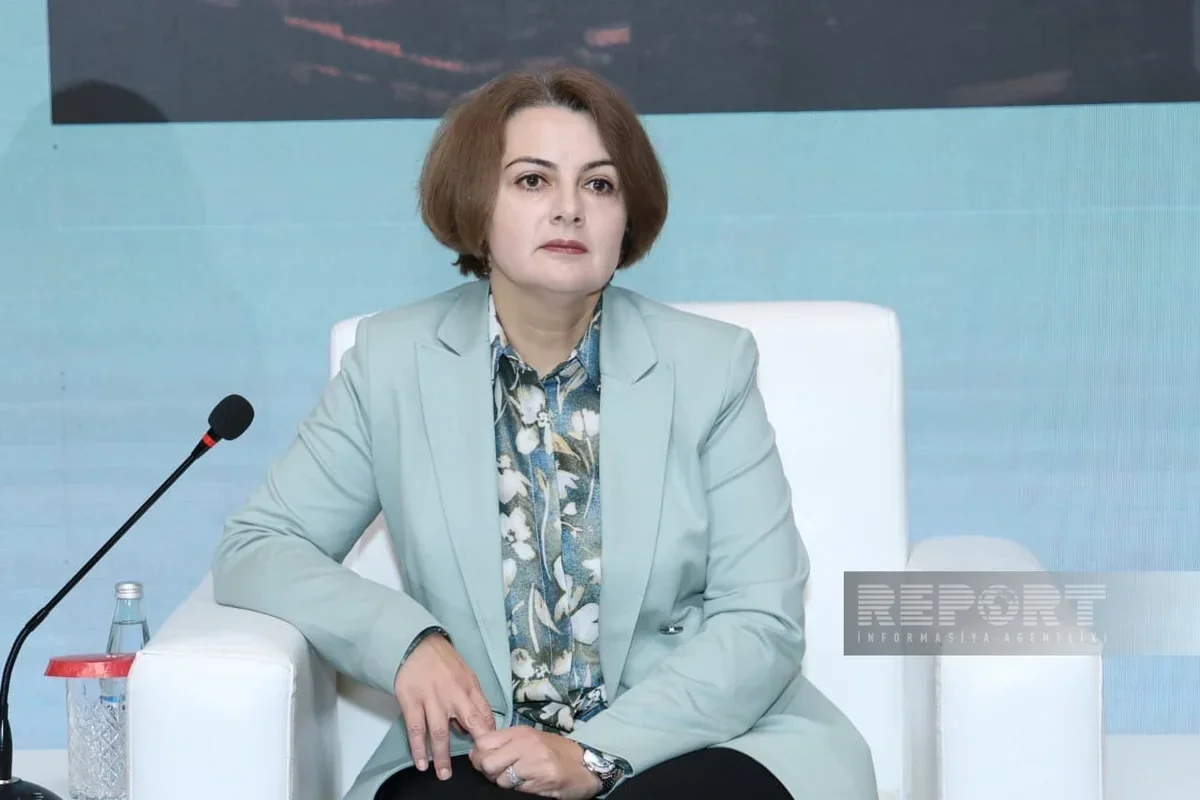 Rəna Hümbətova: "Azərbaycan 2036-cı ildən sonra "yaşıl hidrogen" ixrac edə bilər"