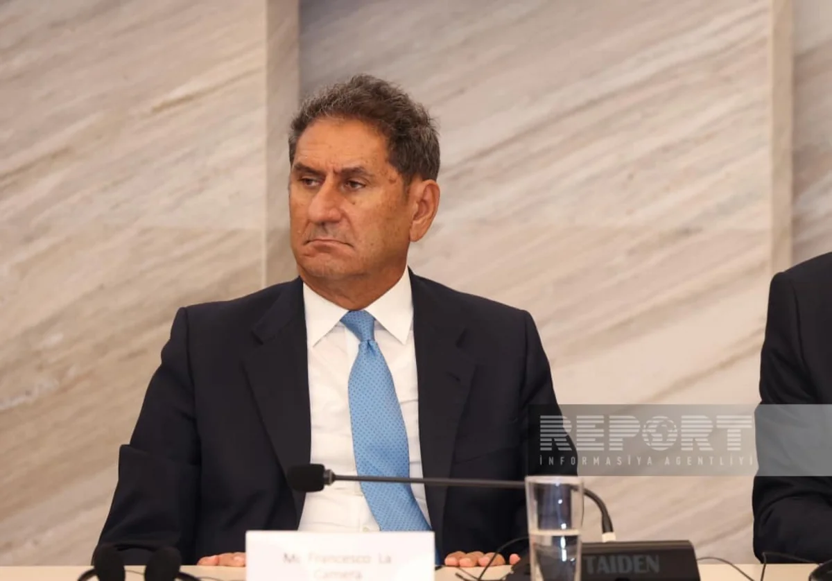 IRENA: Ölkələr idxal olunan yanacaqdan asılılığı elektrikləşdirmə ilə azalda bilər