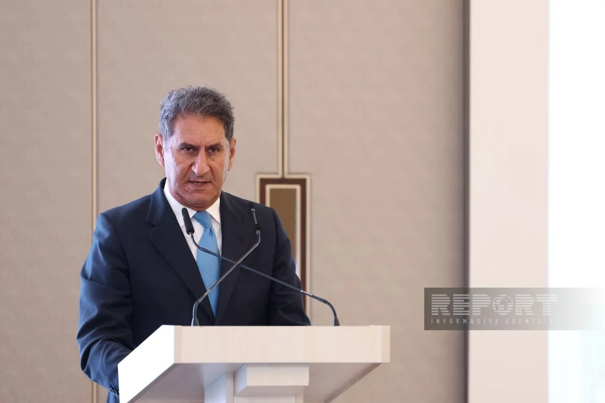 IRENA 2030-cu ilə qədər BOEM güclərini 3 dəfə artırmağa çağırıb