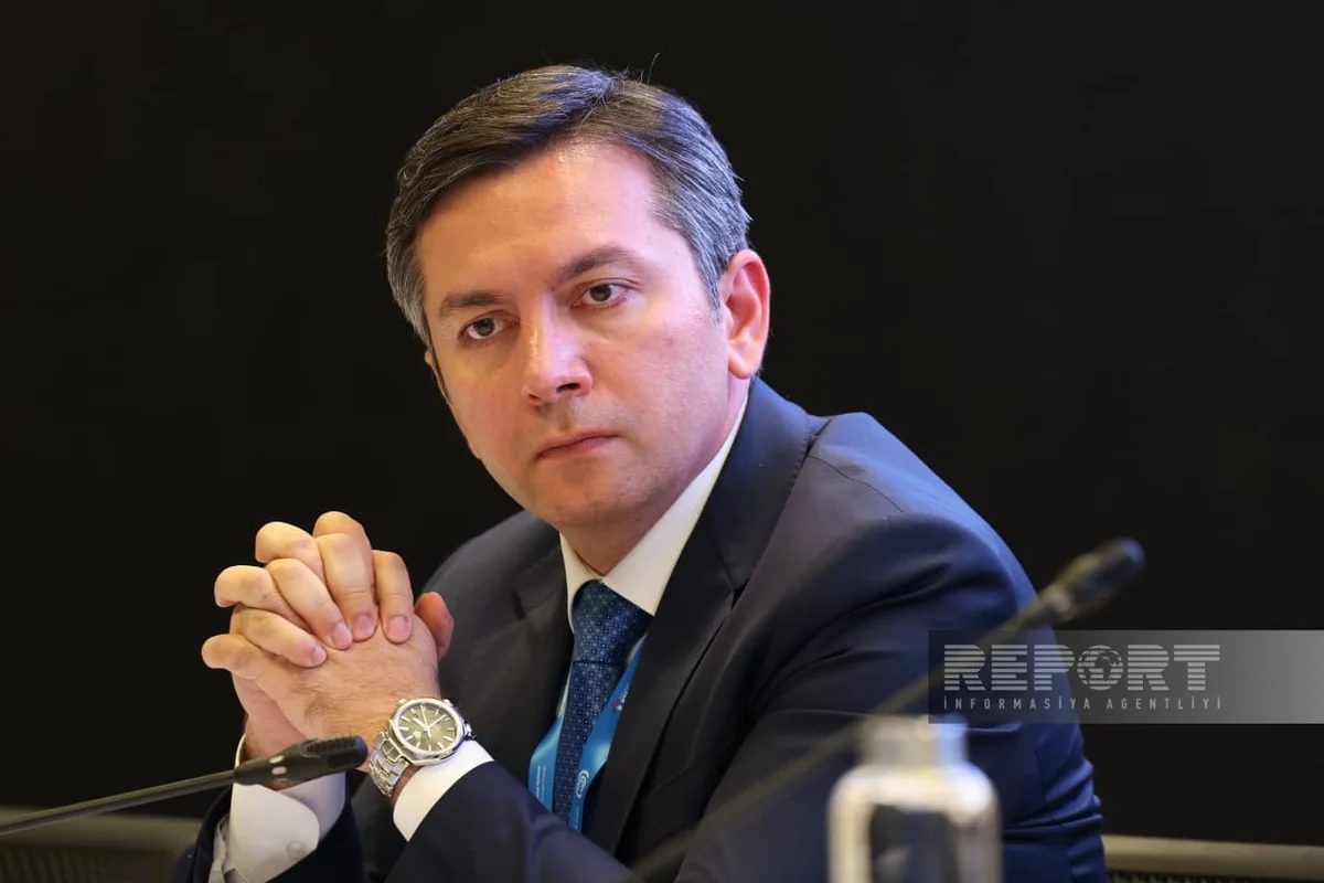 Yalçın Rəfiyev: Ölkələr iqlim dəyişikliyi ilə mübarizədə ümumi məqsədlər ətrafında birləşməlidirlər