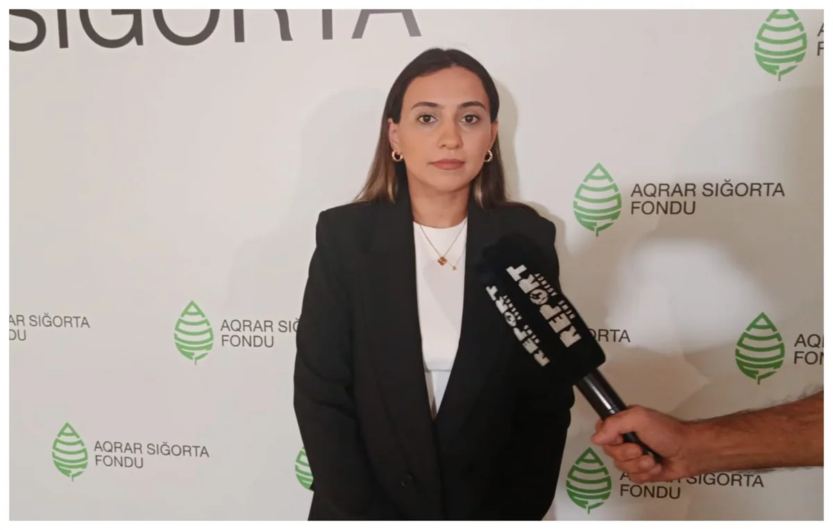 Aqrar Sığorta Fondu bu il heyvandarlıq üzrə 800 min manat ödəniş edib