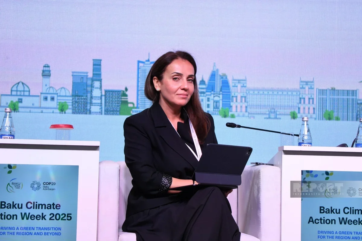 IFC: Davamlı şəhər üçün enerji, su, nəqliyyat və tullantı sistemlərinə birlikdə baxılmalıdır