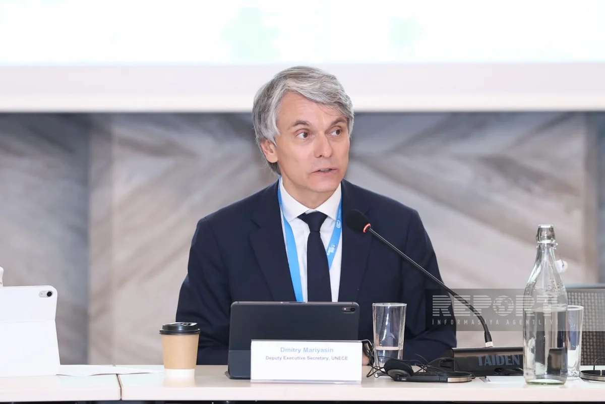 UNECE: Azərbaycan iqlim liderliyinə başlayan ölkələr üçün yaxşı nümunədir