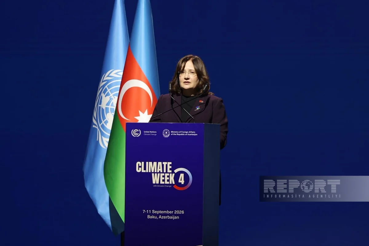 Fatma Varank: Azərbaycanın keçirdiyi COP29 iqlim diplomatiyasına önəmli töhfə verib