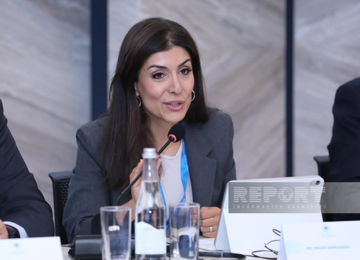 Nigar Arpadarai: Mədəni və ekoloji diplomatiyanı əlaqələndirmək üçün mühüm imkanlar mövcuddur