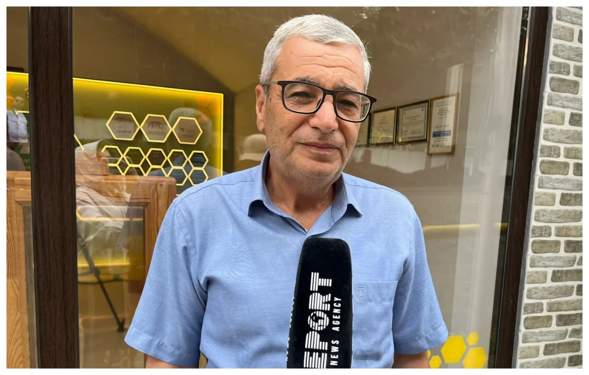 Arıçı: "Lənkəranda əlverişsiz hava arıçılıqda məhsuldarlığı aşağı salıb"