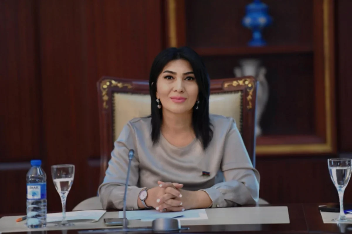 Elnarə Akimova: Təhsil kreditlərinin sosial meyarları müəyyən edilərkən ailənin real gəliri nəzərə alınmalıdır
