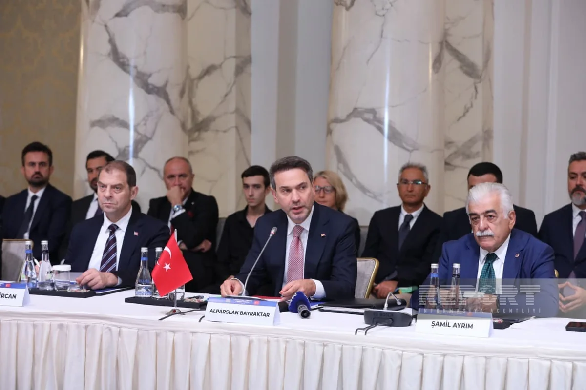 Türkiyəli nazir: "Azərbaycanla enerji sistemlərinin inteqrasiyası istiqamətində mühüm işlər görülür"