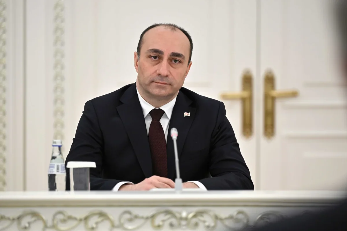Geka Geladze Gürcüstan DTX-nin rəhbəri vəzifəsindən istefa verib