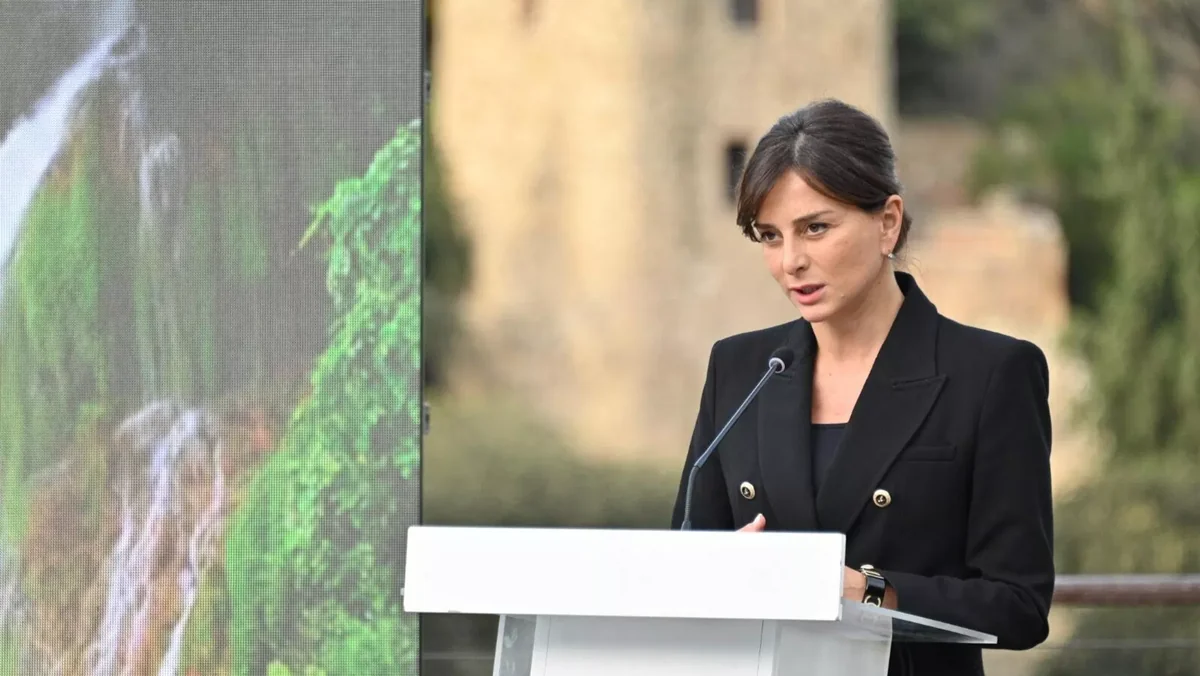 Gürcüstanın yeni mədəniyyət naziri təyin edilib