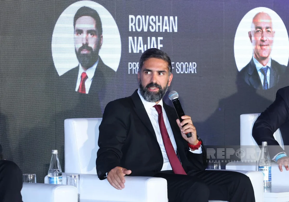 Rövşən Nəcəf: "İnsanlar süni intellektsiz də nəsə etməyi bacarmalıdır"