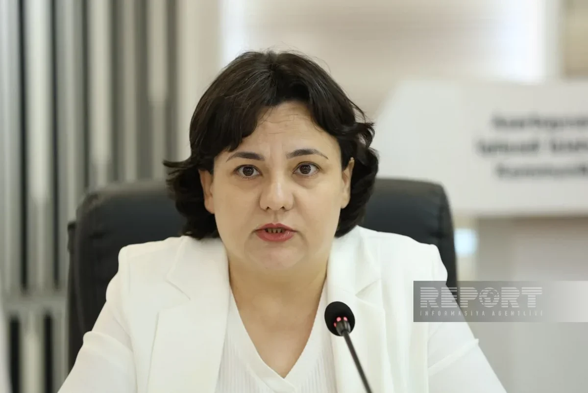İlhamə Qədimova: "Fermerlər üçün yeni maliyyə aləti tətbiq etməyə hazırlaşırıq"