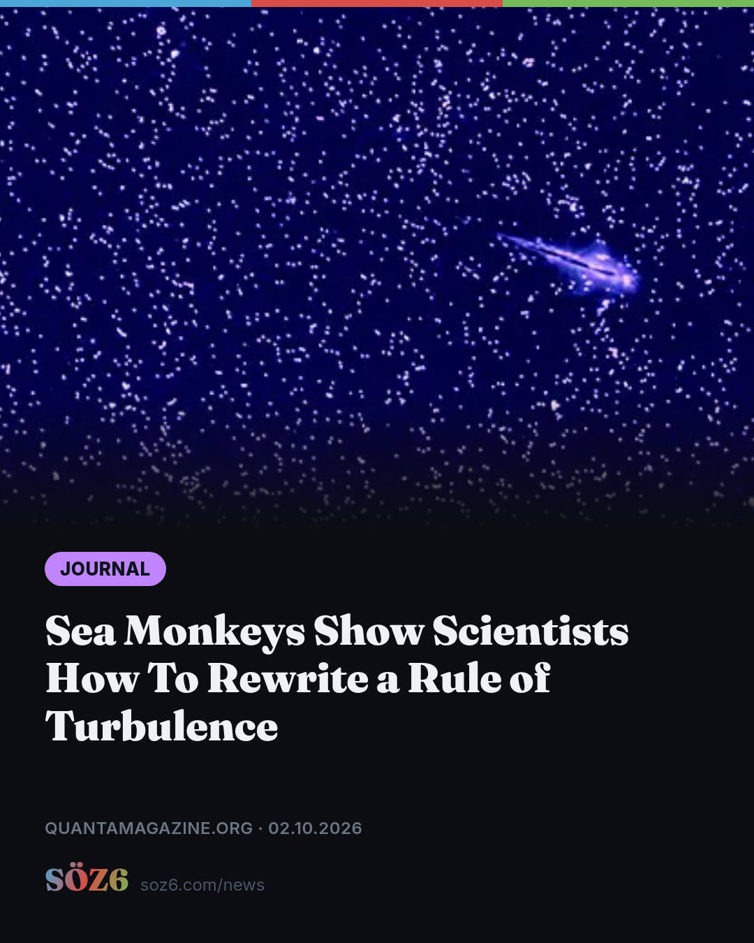 Sea Monkeys Show Scientists How To Rewrite a Rule of Turbulence
