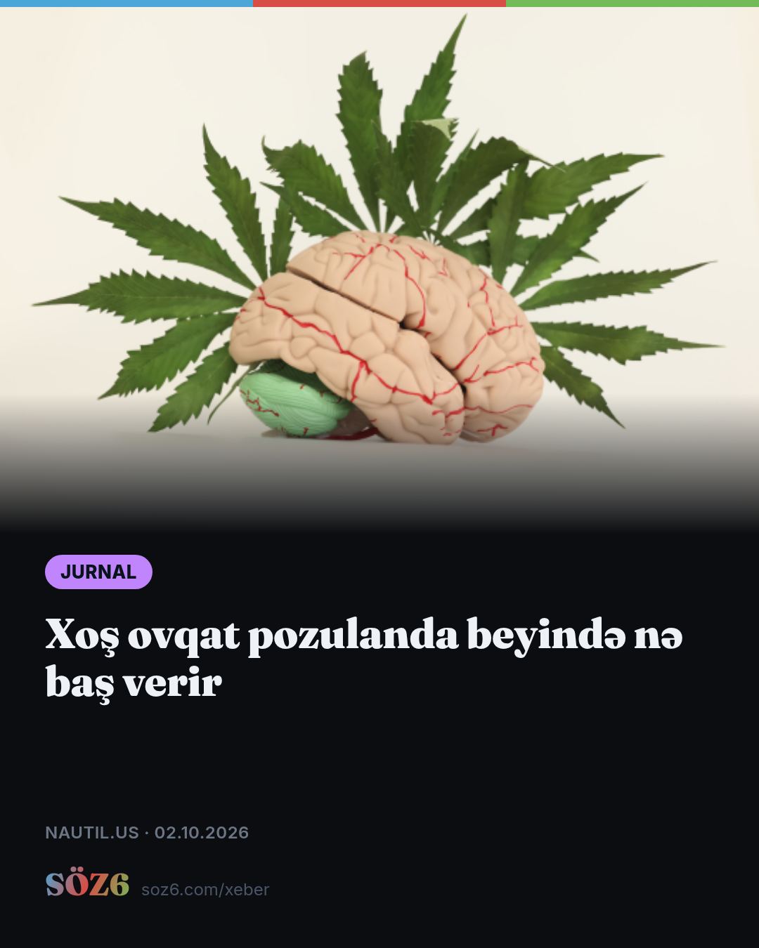 Xoş ovqat pozulanda beyində nə baş verir