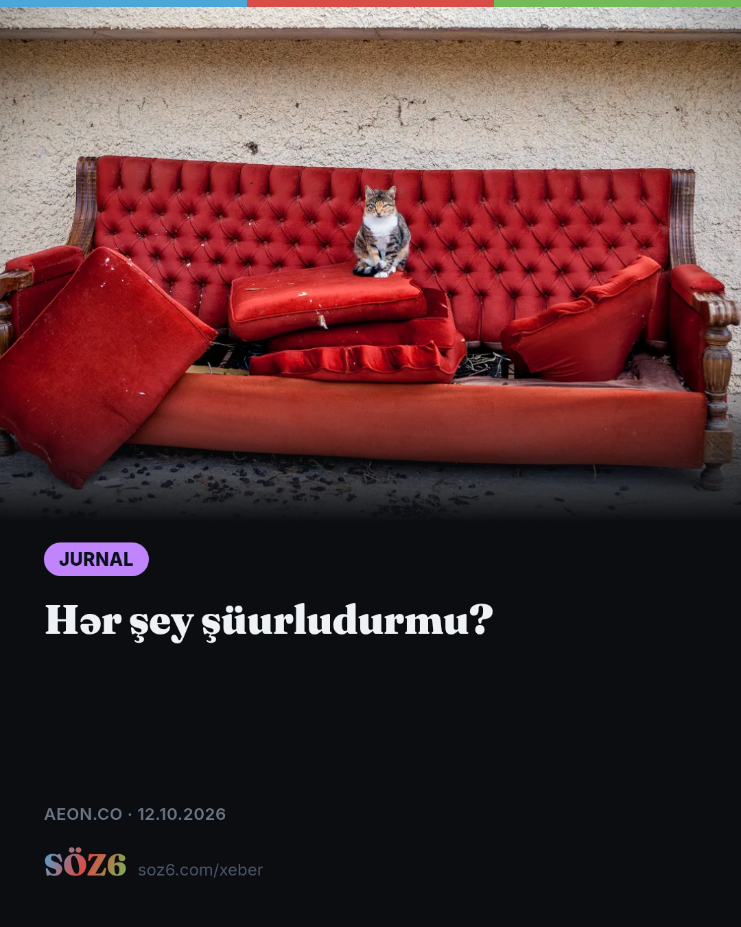 Hər şey şüurludurmu?