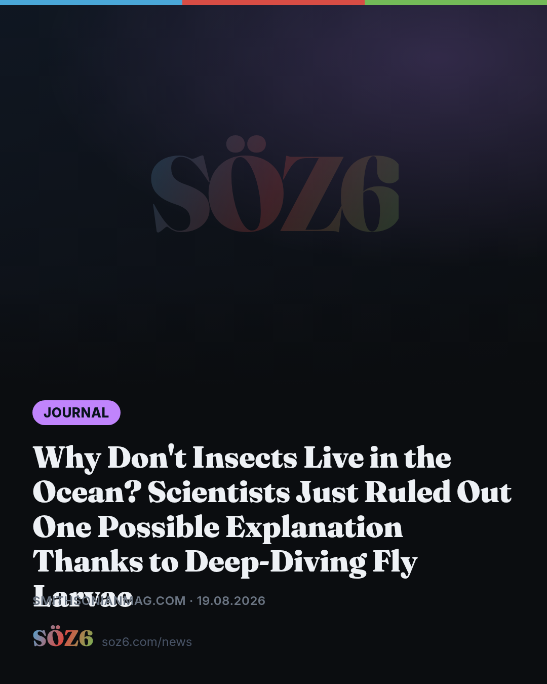 Why Don't Insects Live in the Ocean? Scientists Just Ruled Out One Possible Explanation Thanks to Deep-Diving Fly Larvae