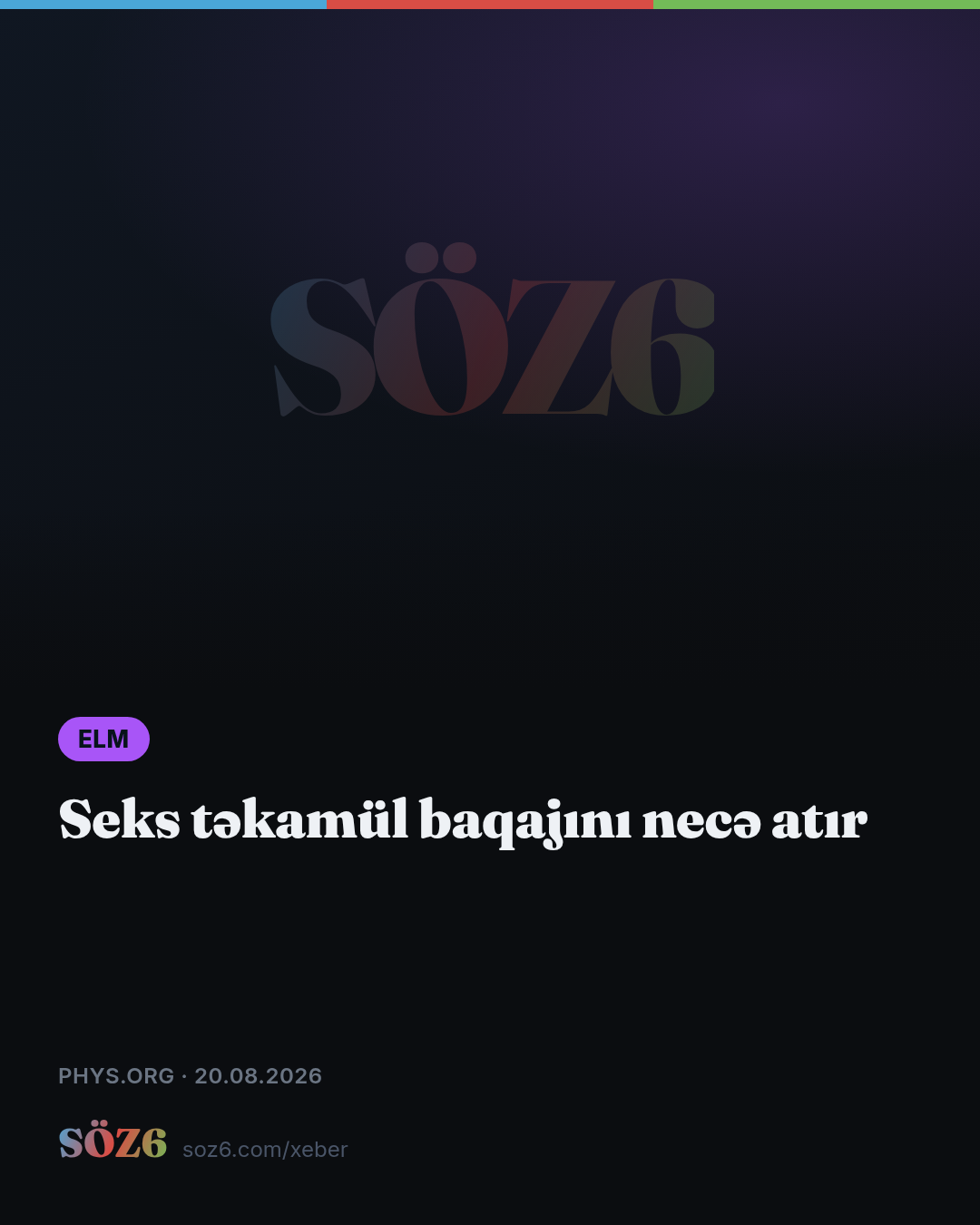 Seks təkamül baqajını necə atır