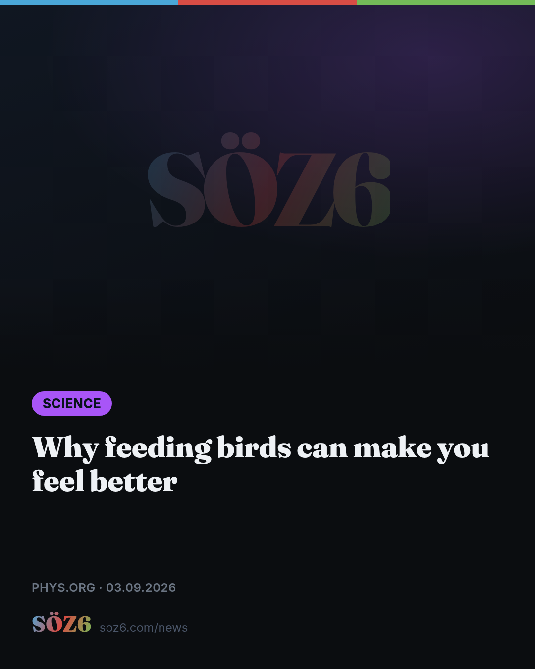 Why feeding birds can make you feel better