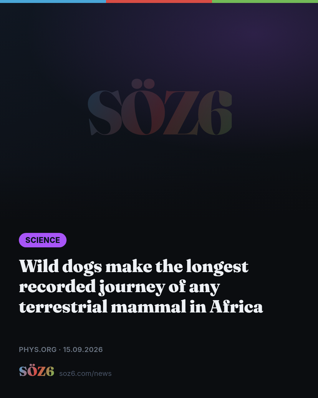 Wild dogs make the longest recorded journey of any terrestrial mammal in Africa