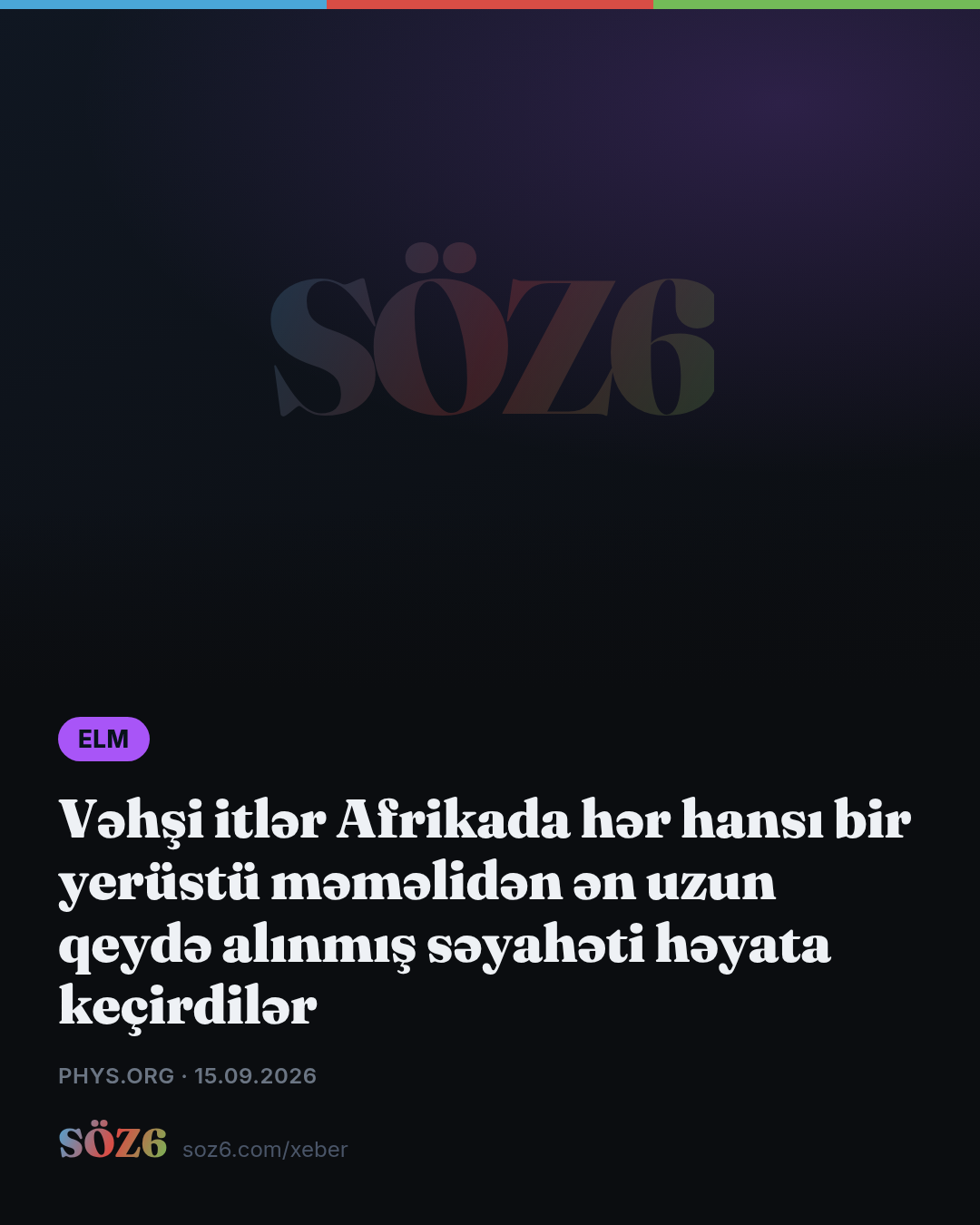Vəhşi itlər Afrikada hər hansı bir yerüstü məməlidən ən uzun qeydə alınmış səyahəti həyata keçirdilər