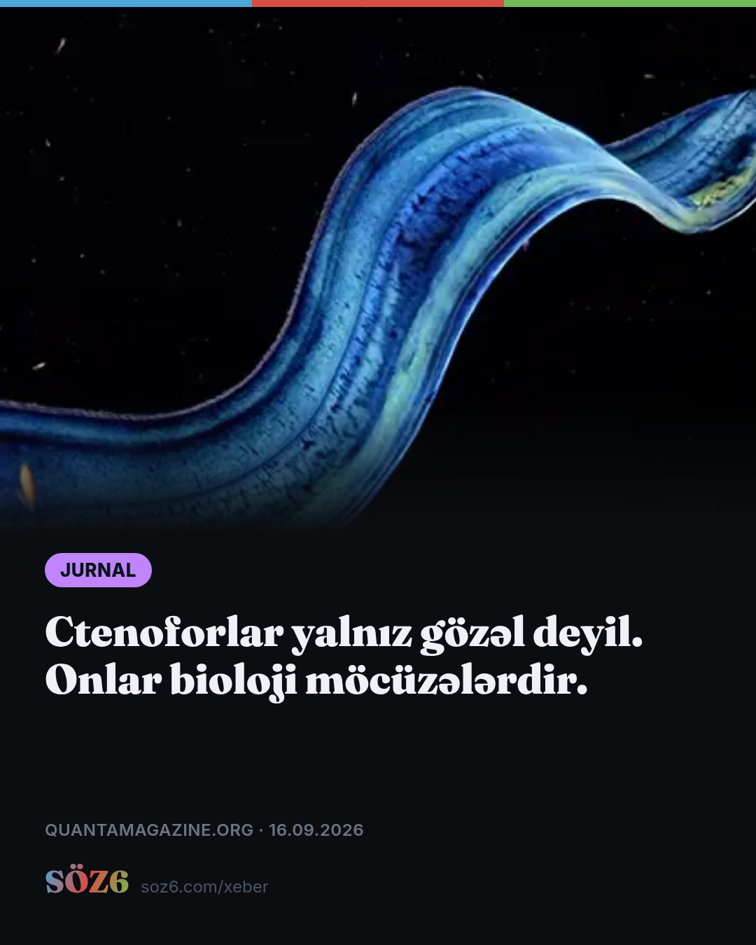 Ctenoforlar yalnız gözəl deyil. Onlar bioloji möcüzələrdir.