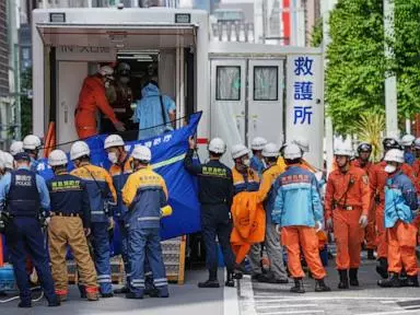 Chinese student arrested over May pepper spray attack in Tokyo