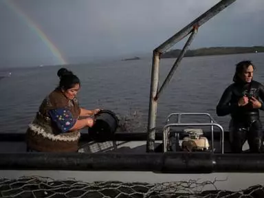 Chileans push to protect oceans that have been hurt by intensive salmon farming