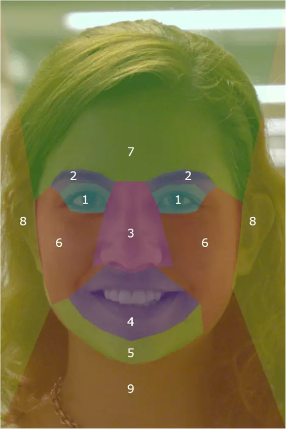 Forensic Facial Specialists Can Identify People Using Just a Couple Facial Features