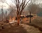Qara yay yanğınlarında NSW-də məhv olunan demək olar ki, bütün evlər yanıcı bitkilərdən 100 metr məsafədə idi
