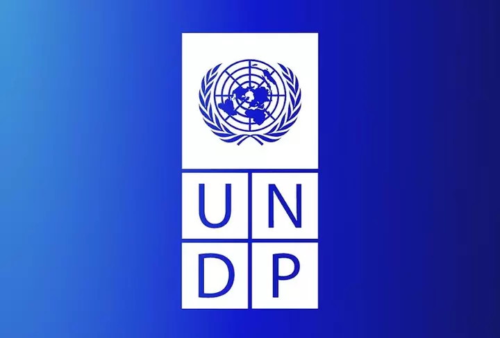 Uzbekistan's ECOLAND project to boost sustainable rural livelihoods - UNDP (Exclusive)
