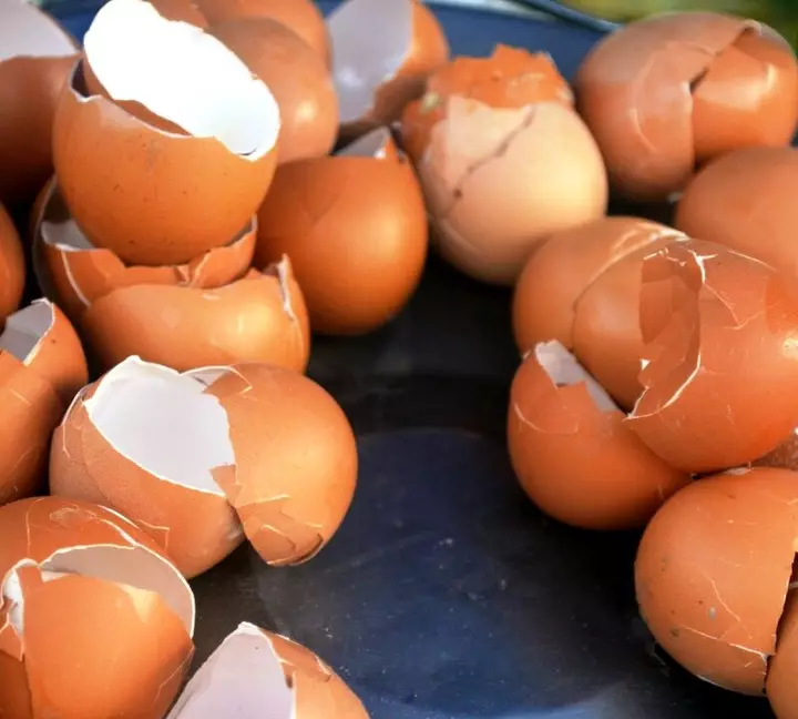 Ən çətin ləkələri yumurta qabıqları ilə çıxarmaq olar - RESEPT
