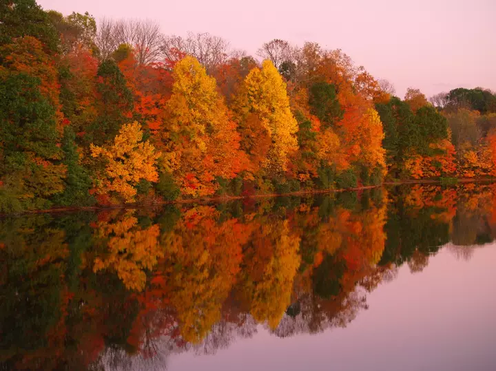 Farmers’ Almanac Predicts Thanksgiving Weather Forecast