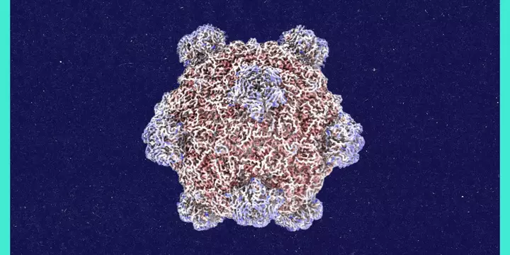 Roundtables: A Conversation With the Creator of AI-Designed Viruses