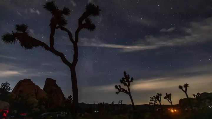 One of the Year's Best Meteor Showers Peaks This Week, but There's a Catch