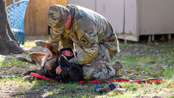 The Team Behind the ‘Dire Wolf’ Will Now Clone America’s Best Working Dogs