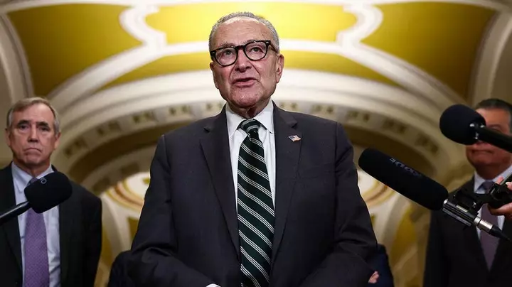 Schumer accused of yearlong plot to plant 'decoy' candidate in critical Senate race