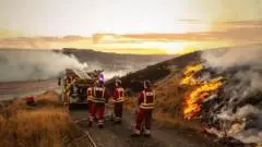 Firefighters and public 'knowingly put at risk' during summer wildfires