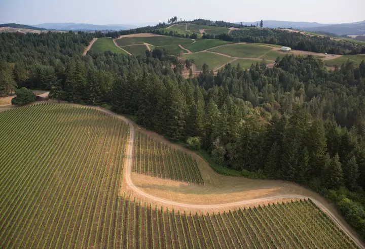 Oregon Helicopters Collide Midair, Killing Three: What We Know