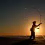 For many, striped bass fishing is a way of life. But the iconic species could face collapse