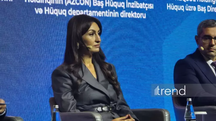 Azerbaijan's tax service sets up committee to oversee AI-related risks