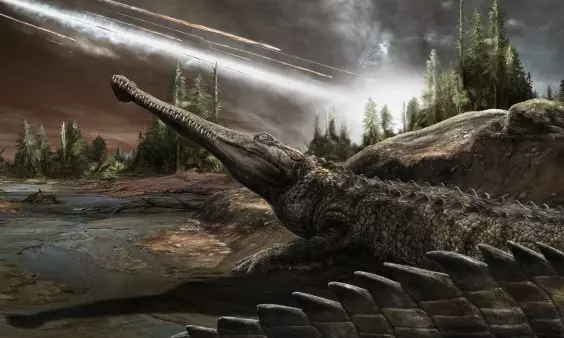 How Crocodiles Survived the Asteroid That Killed the Dinosaurs