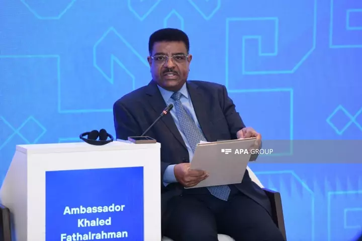 ISECO: "Bakı prosesi müxtəlif mədəniyyət nümayəndələrini bir araya gətirib"
