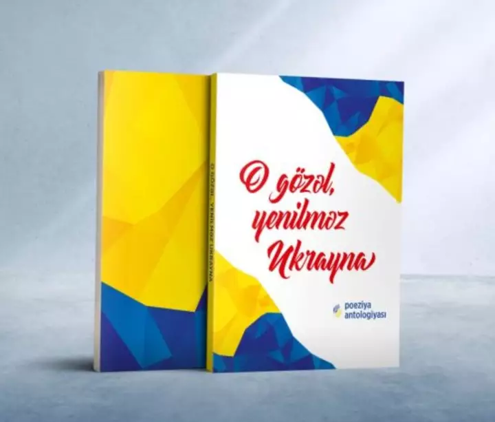 Səlim Babullaoğlu İrpen Ədəbiyyat mükafatına layiq görüldü