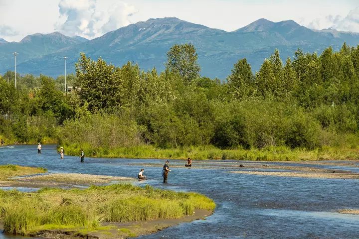 Anchorage: A City Within the Wild