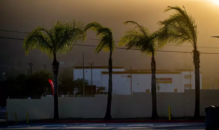 Santa Ana Winds Trigger Wildfire Warnings in Southern California. Here's What To Know