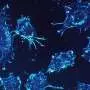 Sustained pressure halts cancer cell migration and triggers death in 3D lab models