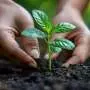 Restoration efforts are working, but we need to move faster to meet targets, says U.N. report