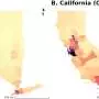 Partisan segregation may be shaping Asian Americans' voting behavior